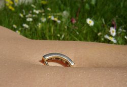 Summer field belly ring